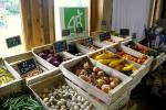 Vente de légumes bio à la ferme