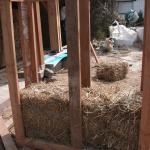 Construction d'un petit monastère en ossature bois / bottes de paille à Béthune (62)